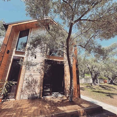 אולסינץ' Olea Cottage מראה חיצוני תמונה