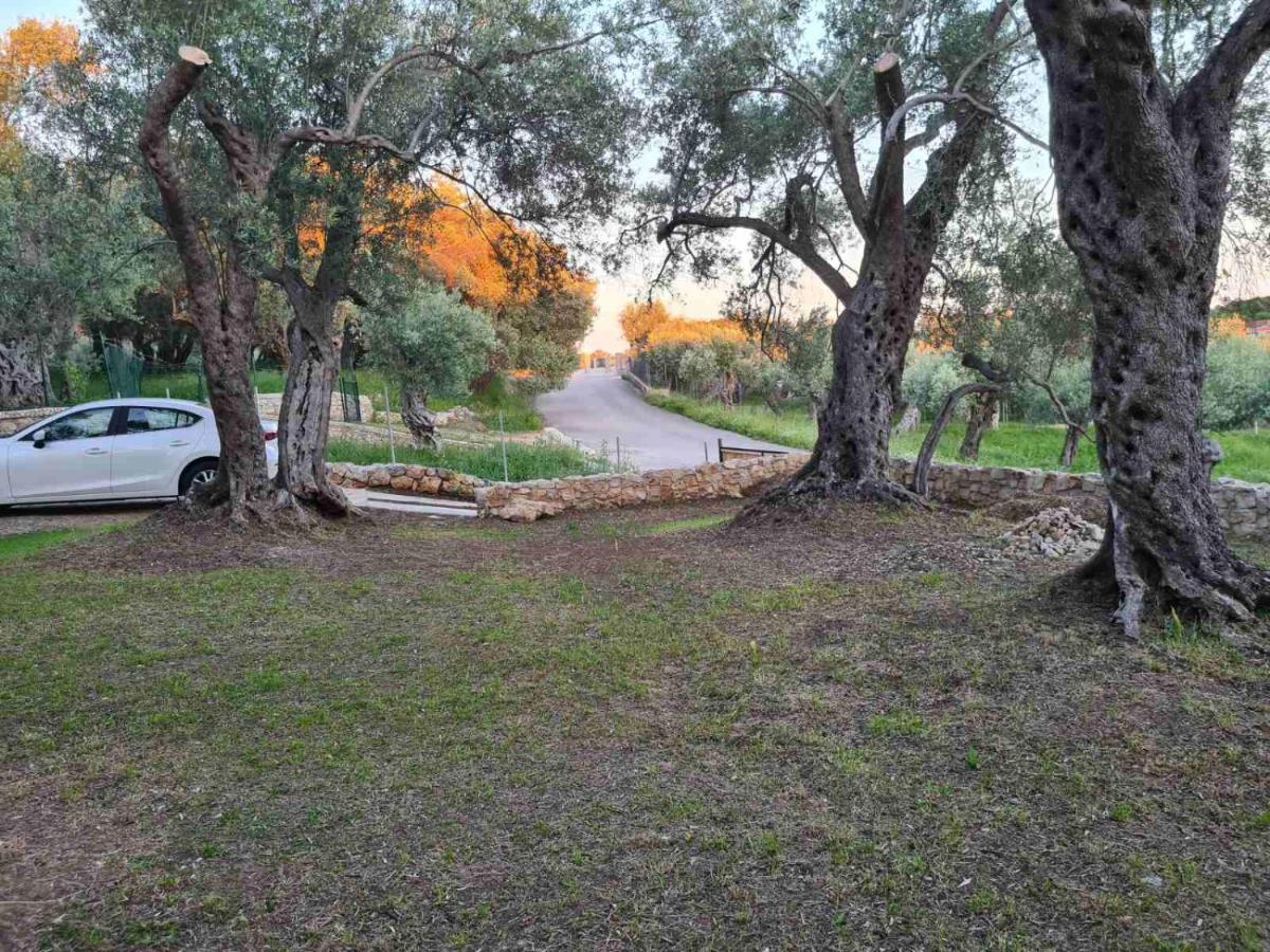 אולסינץ' Olea Cottage מראה חיצוני תמונה