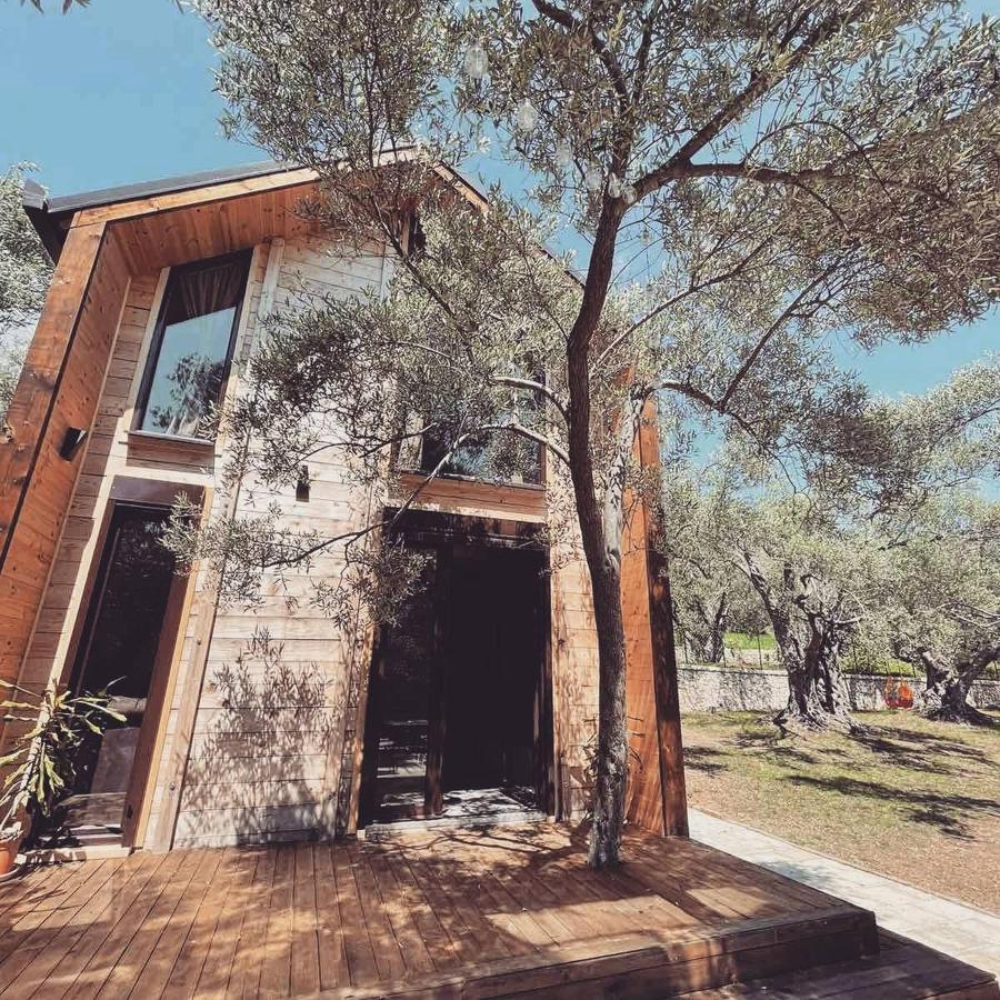 אולסינץ' Olea Cottage מראה חיצוני תמונה