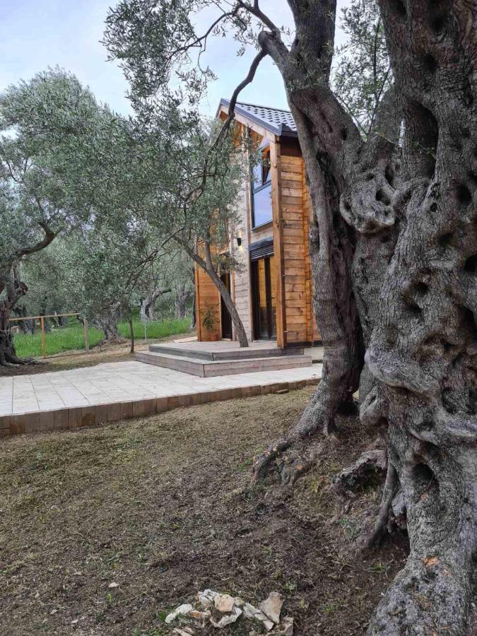 אולסינץ' Olea Cottage מראה חיצוני תמונה