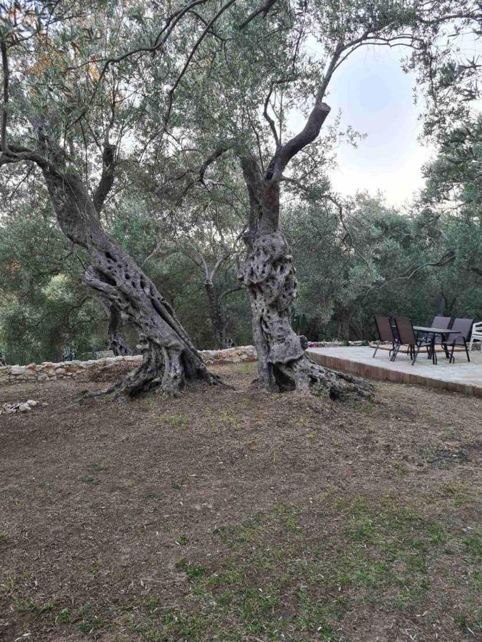 אולסינץ' Olea Cottage מראה חיצוני תמונה