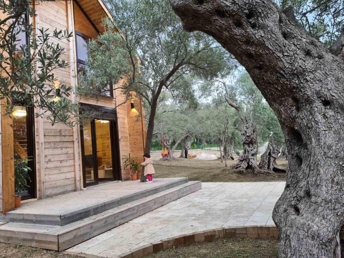אולסינץ' Olea Cottage מראה חיצוני תמונה
