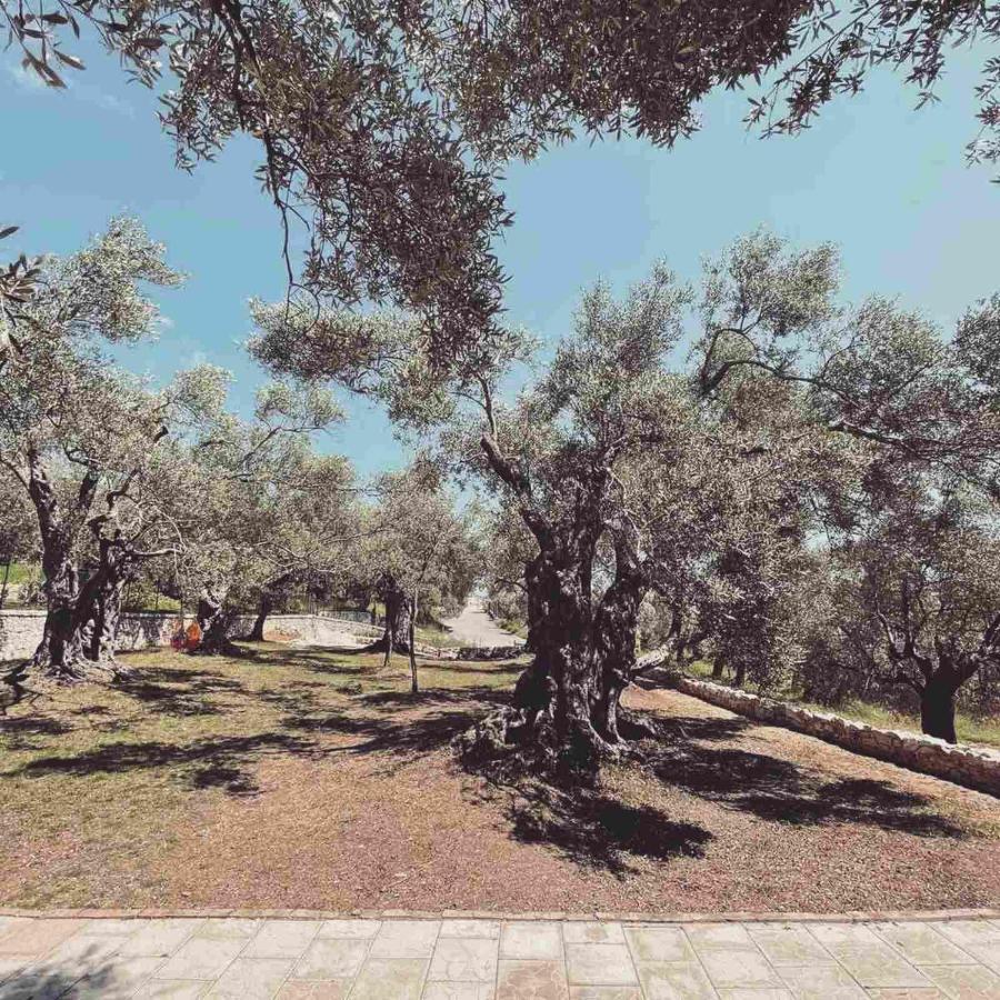 אולסינץ' Olea Cottage מראה חיצוני תמונה