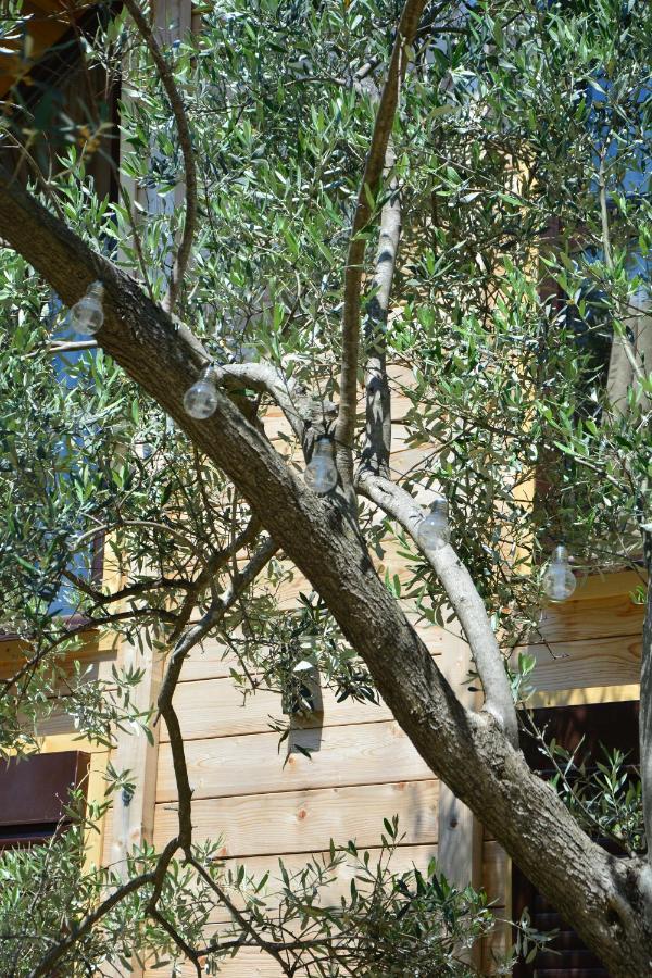 אולסינץ' Olea Cottage מראה חיצוני תמונה