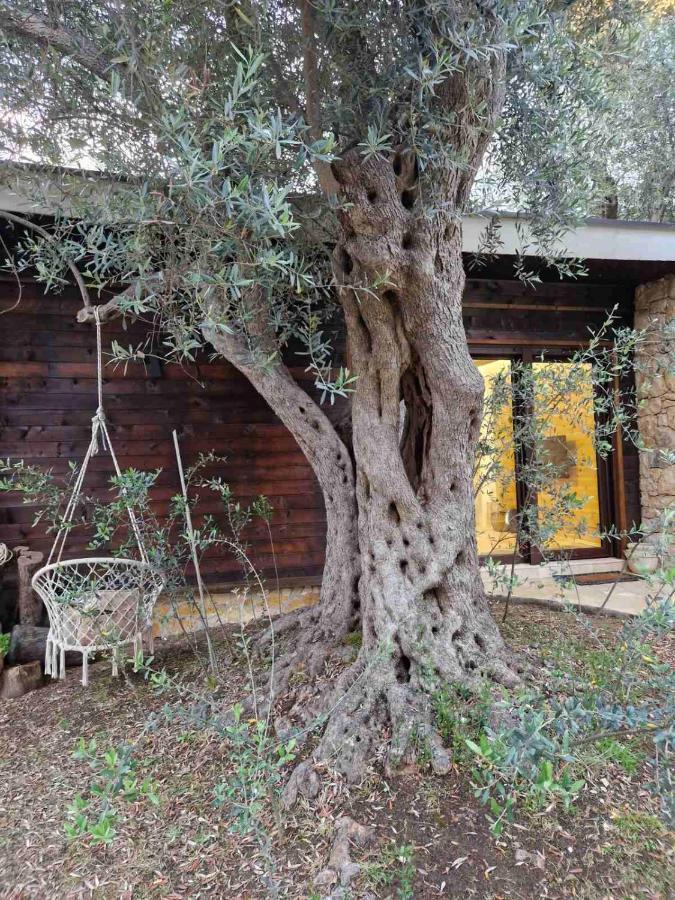 אולסינץ' Olea Cottage מראה חיצוני תמונה