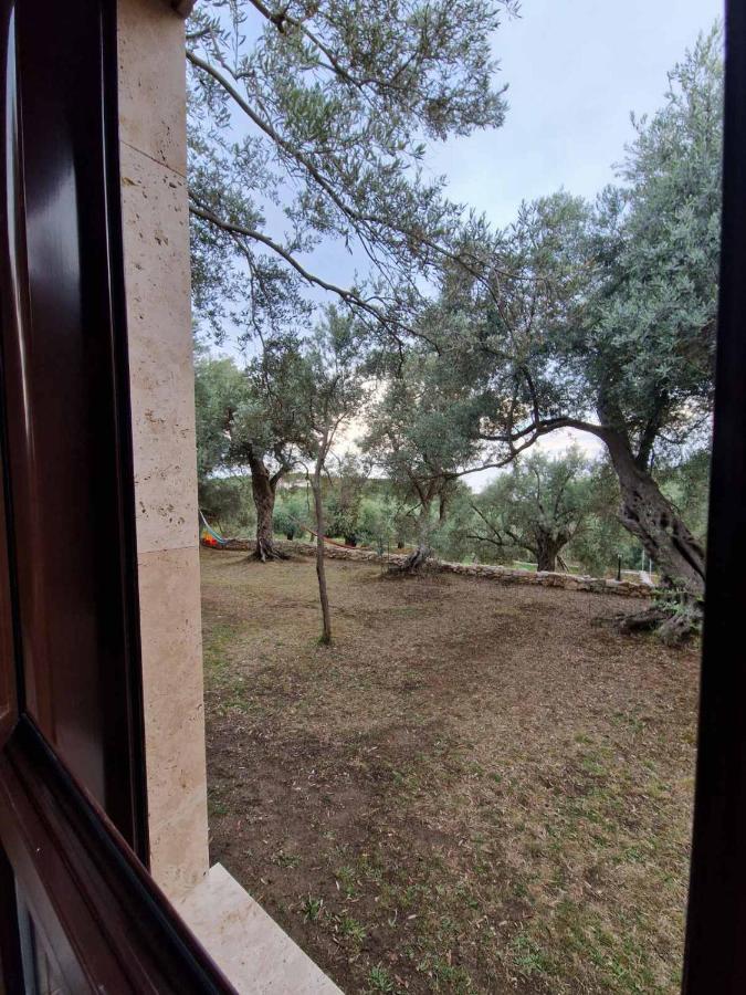 אולסינץ' Olea Cottage מראה חיצוני תמונה